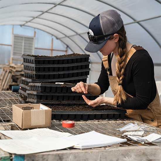 Green Belt Development